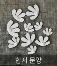 들국화꽃 합지 문양